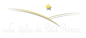 _LAPP 2026 Logo blanc